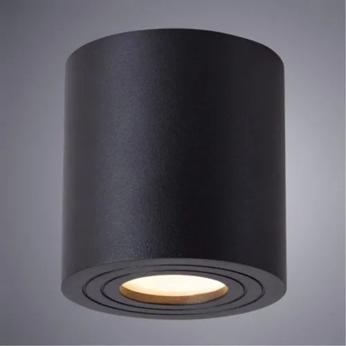 Потолочный светильник Arte Lamp Galopin A1460PL-1BK  фото 2