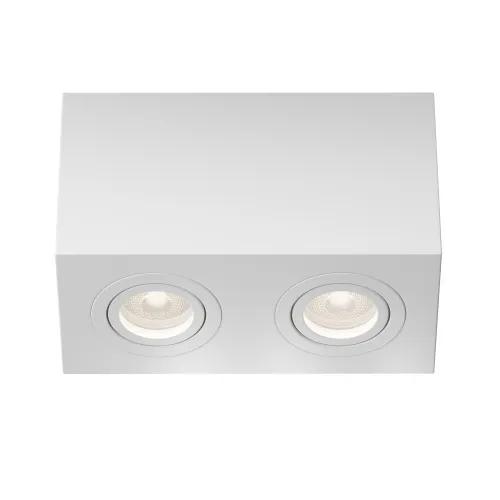Потолочный светильник Maytoni Technical Atom C017CL-02W 